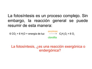 La fotosíntesis es un proceso complejo. Sin
embargo, la reacción general se puede
resumir de esta manera:
6 CO2 + 6 H2O + energía de luz C6H12O6 + 6 O2
La fotosíntesis, ¿es una reacción exergónica o
endergónica?
enzimas
clorofila
 
