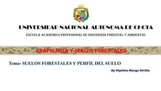 EDAFOLOGÍA Y SUELOS FORESTALES
By Hiplóito Murga Orrillo
UNIVERSIDAD NACIONAL AUTONOMA DE CHOTA
ESCUELA ACADÉMICO PROFESIONAL DE INGENIERÍA FORESTAL Y AMBIENTAL
Tema- SUELOS FORESTALES Y PERFIL DEL SUELO
1
 