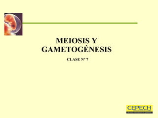 MEIOSIS Y GAMETOGÉNESIS   CLASE Nº 7 