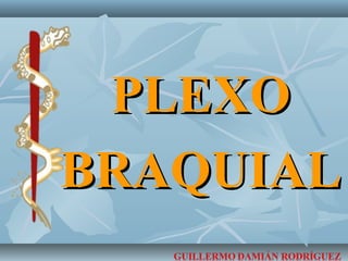 PLEXOPLEXO
BRAQUIALBRAQUIAL
 