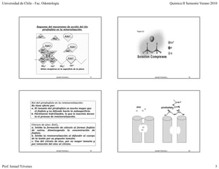 Universidad de Chile - Fac. Odontología                                                                         Quimica II Semestre Verano 2010




                        Esquema del mecanismo de acción del ión
                            pirofosfato en la mineralización.


                          Ca2+                                 P2O74-
                                              PO43-


                                   P2O74-
                                                                       P2O74-
                            Ca2+
                                                                Ca2+
                            PO43-       Ca2+
                                    PO43-
                                    Ca2+




                           PO43-        Ca2
                                          2+                      P2O74-
                            Ca2+        PO43-

                            PO43-           Ca2+       PO43-           Ca2+
                           Sitios receptores en la superficie de la placa



                                                   Ismael Yévenes L.            17          Ismael Yévenes L.               18




                    Rol del pirofosfato en la remineralización:
                    No tiene efecto por:
                                                                                     zinc           pirofosfato
                    a. El tamaño del pirofosfato es mucho mayor que
                       el fosfato y no difunde hacia la subsuperficie
                                                        subsuperficie.
                    b. Fácilmente hidrolizable, lo que lo inactiva duran-
                       te el proceso de remineralización.


                    Cloruro de zinc: ZnCl2
                    a. Inhibe la formación de cálculo al formar fosfato
                    de calcio, disminuyendo la concentración de
                    fosfato.
                    b. Inhibe la remineralización al difundir al cuerpo
                    de la lesión por su pequeño tamaño.
                    c. Uso del citrato de zinc, por su mayor tamaño y
                    por retención del zinc al citrato.

                                                   Ismael Yévenes L.            19          Ismael Yévenes L.               20




Prof. Ismael Yévenes                                                                                                                         5
 