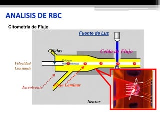 ANALISIS DE RBC
Células Celda de Flujo
Flujo Laminar
Fuente de Luz
Sensor
Envolvente
Velocidad
Constante
Enfoque
Hidrodinámico
Citometría de Flujo
 