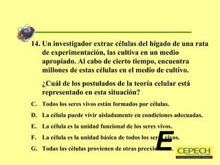 14. Un investigador extrae células del hígado de una rata de experimentación, las cultiva en un medio apropiado. Al cabo de cierto tiempo, encuentra millones de estas células en el medio de cultivo. ¿Cuál de los postulados de la teoría celular está representado en esta situación? Todos los seres vivos están formados por células. La célula puede vivir aisladamente en condiciones adecuadas. La célula es la unidad funcional de los seres vivos. La célula es la unidad básica de todos los seres vivos. Todas las células provienen de otras preexistentes. E 