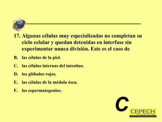 17. Algunas células muy especializadas no completan su ciclo celular y quedan detenidas en interfase sin experimentar nunca división. Este es el caso de las células de la piel. las células internas del intestino. los glóbulos rojos. las células de la médula ósea. los espermatogonios. C 