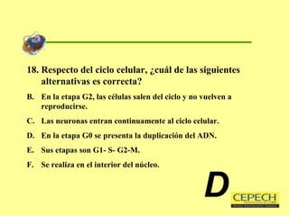 18. Respecto del ciclo celular, ¿cuál de las siguientes alternativas es correcta? En la etapa G2, las células salen del ciclo y no vuelven a reproducirse. Las neuronas entran continuamente al ciclo celular. En la etapa G0 se presenta la duplicación del ADN. Sus etapas son G1- S- G2-M. Se realiza en el interior del núcleo. D 