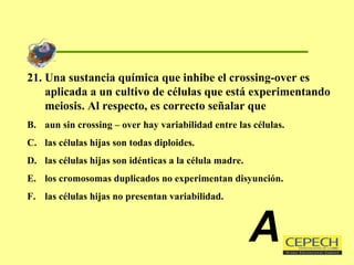 21. Una sustancia química que inhibe el crossing-over es aplicada a un cultivo de células que está experimentando meiosis. Al respecto, es correcto señalar que aun sin crossing – over hay variabilidad entre las células. las células hijas son todas diploides. las células hijas son idénticas a la célula madre. los cromosomas duplicados no experimentan disyunción. las células hijas no presentan variabilidad. A 