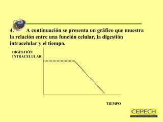 4. A continuación se presenta un gráfico que muestra la relación entre una función celular, la digestión intracelular y el tiempo. DIGESTIÓN INTRACELULAR TIEMPO 