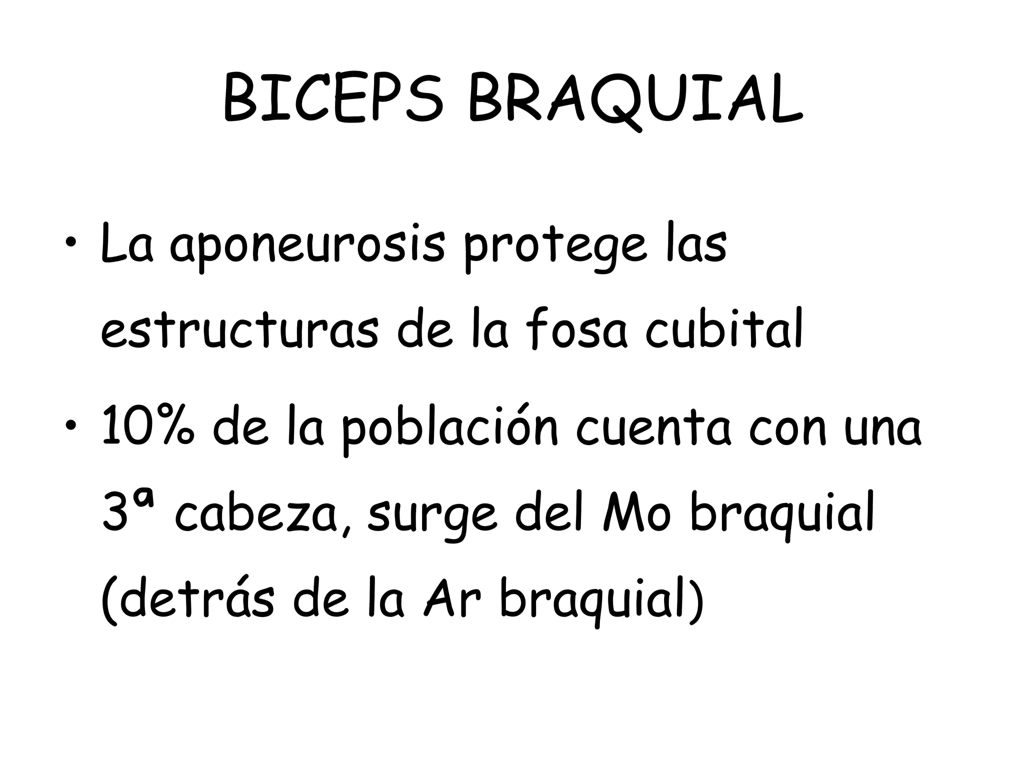 BICEPS BRAQUIAL
• La aponeurosis protege las
estructuras de la fosa cubital
• 10% de la población cuenta con una
3ª cabeza, surge del Mo braquial
(detrás de la Ar braquial)