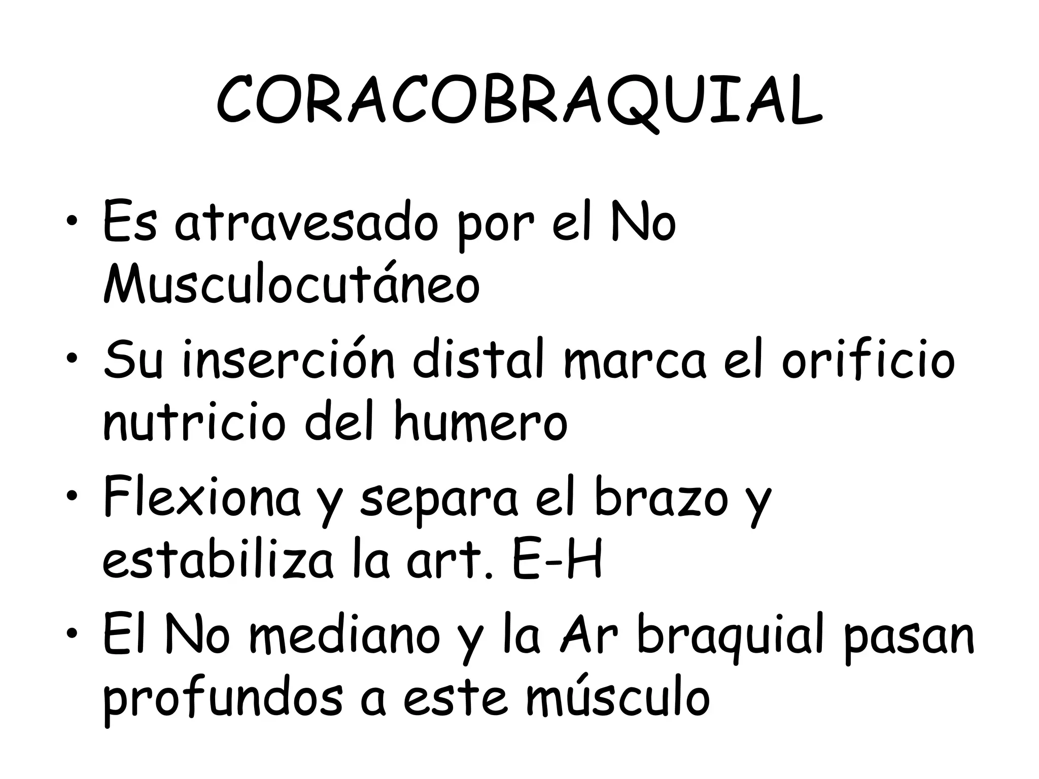 CORACOBRAQUIAL
• Es atravesado por el No
Musculocutáneo
• Su inserción distal marca el orificio
nutricio del humero
• Flexiona y separa el brazo y
estabiliza la art. E-H
• El No mediano y la Ar braquial pasan
profundos a este músculo
