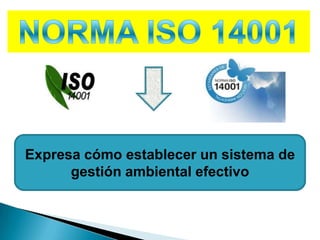 Expresa cómo establecer un sistema de
gestión ambiental efectivo
 