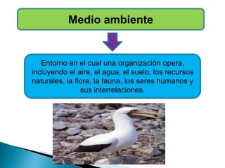 Medio ambiente
Entorno en el cual una organización opera,
incluyendo el aire, el agua, el suelo, los recursos
naturales, la flora, la fauna, los seres humanos y
sus interrelaciones.
 