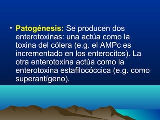 • Patogénesis: Se producen dos
enterotoxinas: una actúa como la
toxina del cólera (e.g. el AMPc es
incrementado en los enterocitos). La
otra enterotoxina actúa como la
enterotoxina estafilocóccica (e.g. como
superantígeno).
 