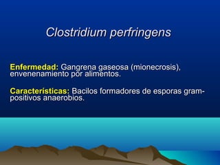 Clostridium perfringensClostridium perfringens
Enfermedad:Enfermedad: Gangrena gaseosa (mionecrosis),Gangrena gaseosa (mionecrosis),
envenenamiento por alimentos.envenenamiento por alimentos.
Características:Características: Bacilos formadores de esporas gram-Bacilos formadores de esporas gram-
positivos anaerobios.positivos anaerobios.
 
