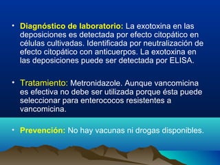• Diagnóstico de laboratorio: La exotoxina en las
deposiciones es detectada por efecto citopático en
células cultivadas. Identificada por neutralización de
efecto citopático con anticuerpos. La exotoxina en
las deposiciones puede ser detectada por ELISA.
• Tratamiento: Metronidazole. Aunque vancomicina
es efectiva no debe ser utilizada porque ésta puede
seleccionar para enterococos resistentes a
vancomicina.
• Prevención: No hay vacunas ni drogas disponibles.
 