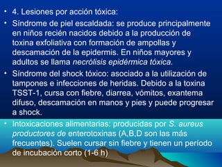 • 4. Lesiones por acción tóxica:
• Síndrome de piel escaldada: se produce principalmente
en niños recién nacidos debido a la producción de
toxina exfoliativa con formación de ampollas y
descamación de la epidermis. En niños mayores y
adultos se llama necrólisis epidérmica tóxica.
• Síndrome del shock tóxico: asociado a la utilización de
tampones e infecciones de heridas. Debido a la toxina
TSST-1, cursa con fiebre, diarrea, vómitos, exantema
difuso, descamación en manos y pies y puede progresar
a shock.
• Intoxicaciones alimentarias: producidas por S. aureus
productores de enterotoxinas (A,B,D son las más
frecuentes). Suelen cursar sin fiebre y tienen un período
de incubación corto (1-6 h)
 