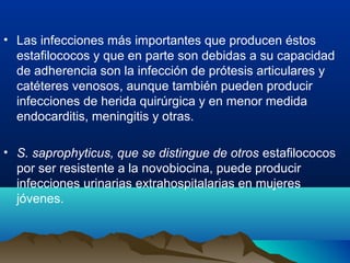 • Las infecciones más importantes que producen éstos
estafilococos y que en parte son debidas a su capacidad
de adherencia son la infección de prótesis articulares y
catéteres venosos, aunque también pueden producir
infecciones de herida quirúrgica y en menor medida
endocarditis, meningitis y otras.
• S. saprophyticus, que se distingue de otros estafilococos
por ser resistente a la novobiocina, puede producir
infecciones urinarias extrahospitalarias en mujeres
jóvenes.
 