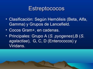 EstreptococosEstreptococos
• Clasificación: Según Hemólisis (Beta, Alfa,
Gamma) y Grupos de Lancefield.
• Cocos Gram+, en cadenas.
• Principales: Grupo A (S. pyogenes),B (S.
agalactiae), G, C, D (Enterococos) y
Viridans.
 