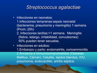 Streptococcus agalactiaeStreptococcus agalactiae
• Infecciones en neonatos:
1.Infecciones tempranas:sepsis neonatal
(bacteremia, pneumonía y meningitis) 1 semana.
(Prom.:20h)
2. Infecciones tardías:>1 semana. Meningitis
(fiebre, letargo, irritabilidad, convulsiones)
50% pueden tener secuelas.
• Infecciones en adultos:
1.Embarazo y parto: endometritis, corioamnionitis
2.Ancianos e inmunocomprometidos (Diabetes
Mellitus, Cáncer). Celulitis, tejidos blandos, IVU,
pneumonía, endocarditis, artritis séptica.
 