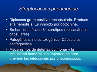 Streptococcus pneumoniaeStreptococcus pneumoniae
• Diplococo gram positivo encapsulado. Produce
alfa hemólisis. Es inhibido por optochina.
• Se han identificado 84 serotipos (polisacáridos
capsulares)
• Patogénesis: no es toxigénico. Cápsula es
antifagocítica.
• Mecanismos de defensa pulmonar y la
inmunidad humoral son importantes para
prevenir las infecciones por pneumococos.
 
