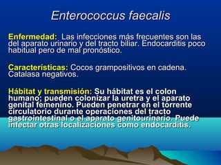 Enterococcus faecalisEnterococcus faecalis
Enfermedad:Enfermedad: Las infecciones más frecuentes son lasLas infecciones más frecuentes son las
del aparato urinario y del tracto biliar. Endocarditis pocodel aparato urinario y del tracto biliar. Endocarditis poco
habitual pero de mal pronóstico.habitual pero de mal pronóstico.
Características:Características: Cocos grampositivos en cadena.Cocos grampositivos en cadena.
Catalasa negativos.Catalasa negativos.
Hábitat y transmisión:Hábitat y transmisión: Su hábitat es el colonSu hábitat es el colon
humano; pueden colonizar la uretra y el aparatohumano; pueden colonizar la uretra y el aparato
genital femenino. Pueden penetrar en el torrentegenital femenino. Pueden penetrar en el torrente
circulatorio durante operaciones del tractocirculatorio durante operaciones del tracto
gastrointestinal o el aparato genitourinario. Puedegastrointestinal o el aparato genitourinario. Puede
infectar otras localizaciones como endocarditis.infectar otras localizaciones como endocarditis.
 