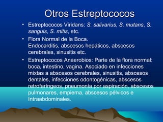 Otros EstreptococosOtros Estreptococos
• Estreptococos Viridans: S. salivarius, S. mutans, S.
sanguis, S. mitis, etc.
• Flora Normal de la Boca.
Endocarditis, abscesos hepáticos, abscesos
cerebrales, sinusitis etc.
• Estreptococos Anaerobios: Parte de la flora normal:
boca, intestino, vagina. Asociado en infecciones
mixtas a abscesos cerebrales, sinusitis, abscesos
dentales, infecciones odontogénicas, abscesos
retrofaríngeos, pneumonía por aspiración, abscesos
pulmonares, empiema, abscesos pélvicos e
Intraabdominales.
 