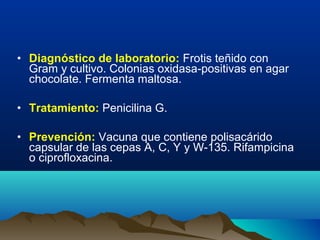 • Diagnóstico de laboratorio: Frotis teñido con
Gram y cultivo. Colonias oxidasa-positivas en agar
chocolate. Fermenta maltosa.
• Tratamiento: Penicilina G.
• Prevención: Vacuna que contiene polisacárido
capsular de las cepas A, C, Y y W-135. Rifampicina
o ciprofloxacina.
 