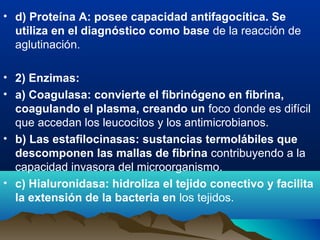 • d) Proteína A: posee capacidad antifagocítica. Se
utiliza en el diagnóstico como base de la reacción de
aglutinación.
• 2) Enzimas:
• a) Coagulasa: convierte el fibrinógeno en fibrina,
coagulando el plasma, creando un foco donde es difícil
que accedan los leucocitos y los antimicrobianos.
• b) Las estafilocinasas: sustancias termolábiles que
descomponen las mallas de fibrina contribuyendo a la
capacidad invasora del microorganismo.
• c) Hialuronidasa: hidroliza el tejido conectivo y facilita
la extensión de la bacteria en los tejidos.
 