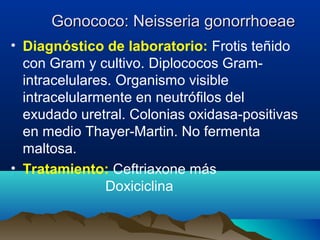 Gonococo: Neisseria gonorrhoeaeGonococo: Neisseria gonorrhoeae
• Diagnóstico de laboratorio: Frotis teñido
con Gram y cultivo. Diplococos Gram-
intracelulares. Organismo visible
intracelularmente en neutrófilos del
exudado uretral. Colonias oxidasa-positivas
en medio Thayer-Martin. No fermenta
maltosa.
• Tratamiento: Ceftriaxone más
Doxiciclina
 