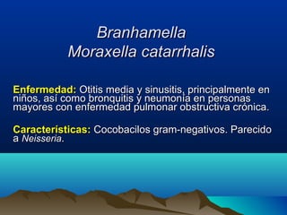 BranhamellaBranhamella
Moraxella catarrhalisMoraxella catarrhalis
Enfermedad:Enfermedad: Otitis media y sinusitis, principalmente enOtitis media y sinusitis, principalmente en
niños, así como bronquitis y neumonía en personasniños, así como bronquitis y neumonía en personas
mayores con enfermedad pulmonar obstructiva crónica.mayores con enfermedad pulmonar obstructiva crónica.
Características:Características: Cocobacilos gram-negativos. ParecidoCocobacilos gram-negativos. Parecido
aa NeisseriaNeisseria..
 