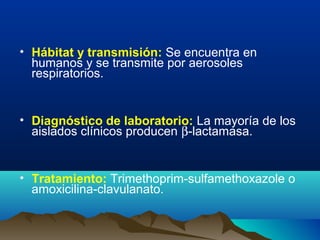 • Hábitat y transmisión: Se encuentra en
humanos y se transmite por aerosoles
respiratorios.
• Diagnóstico de laboratorio: La mayoría de los
aislados clínicos producen β-lactamasa.
• Tratamiento: Trimethoprim-sulfamethoxazole o
amoxicilina-clavulanato.
 