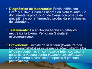 • Diagnóstico de laboratorio: Frotis teñido con
Gram y cultivo. Colonias negras en plato tellurite. Se
documenta la producción de toxina con prueba de
precipitina o por enfermedad producida en animales
de laboratorio.
• Tratamiento: La antitoxina hecha en caballos
neutraliza la toxina. Penicilina G mata el
microorganismo.
• Prevención: Toxoide de la difteria (toxina tratada
con formaldehído) es usualmente administrado a los
niños en combinación con toxoide tetánico, vacuna
pertusis, la vacuna contra Haemophilus influenzae
tipo b y contra el virus de la hepatitis B (vacuna
pentavalente).
 