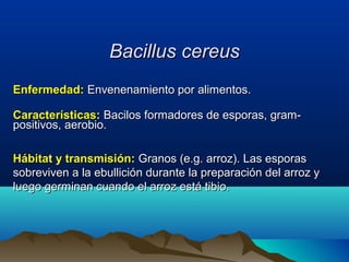 Bacillus cereusBacillus cereus
Enfermedad:Enfermedad: Envenenamiento por alimentos.Envenenamiento por alimentos.
Características:Características: Bacilos formadores de esporas, gram-Bacilos formadores de esporas, gram-
positivos, aerobio.positivos, aerobio.
Hábitat y transmisión:Hábitat y transmisión: Granos (e.g. arroz). Las esporasGranos (e.g. arroz). Las esporas
sobreviven a la ebullición durante la preparación del arroz ysobreviven a la ebullición durante la preparación del arroz y
luego germinan cuando el arroz está tibio.luego germinan cuando el arroz está tibio.
 