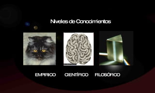 EMPIRICO  CIENTÍFICO   FILOSÓFICO   Niveles de Conocimientos 