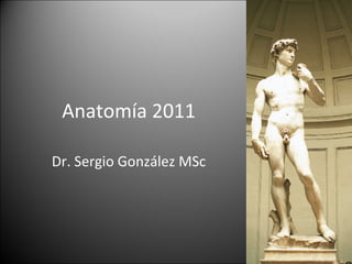 Anatomía 2011 Dr. Sergio González MSc 