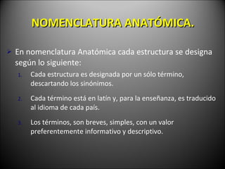 NOMENCLATURA ANATÓMICA. En nomenclatura Anatómica cada estructura se designa según lo siguiente: Cada estructura es designada por un sólo término, descartando los sinónimos. Cada término está en latín y, para la enseñanza, es traducido al idioma de cada país. Los términos, son breves, simples, con un valor preferentemente informativo y descriptivo. 