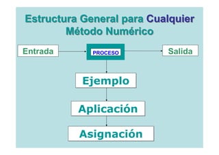 Estructura General para Cualquier
        Método Numérico
Entrada      PROCESO       Salida


           Ejemplo

          Aplicación

          Asignación
 