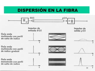 DISPERSIÓN EN LA FIBRA




                         39
 