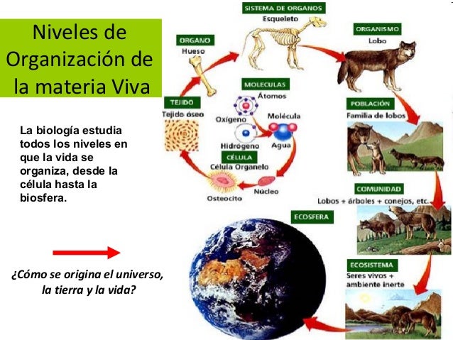 Origen de la vida en la tierra