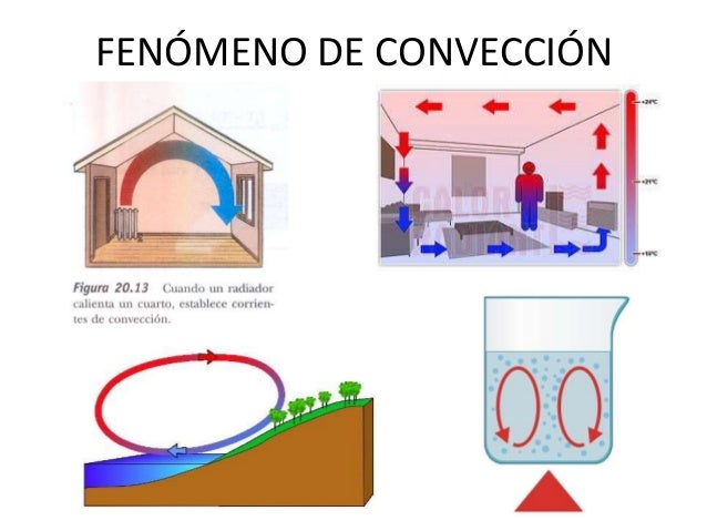 Clase 1