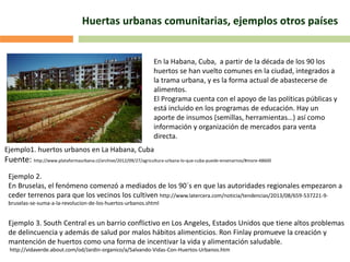 Ejemplo1. huertos urbanos en La Habana, Cuba
Fuente: http://www.plataformaurbana.cl/archive/2012/09/27/agricultura-urbana-lo-que-cuba-puede-ensenarnos/#more-48600
En la Habana, Cuba, a partir de la década de los 90 los
huertos se han vuelto comunes en la ciudad, integrados a
la trama urbana, y es la forma actual de abastecerse de
alimentos.
El Programa cuenta con el apoyo de las políticas públicas y
está incluido en los programas de educación. Hay un
aporte de insumos (semillas, herramientas…) así como
información y organización de mercados para venta
directa.
Ejemplo 2.
En Bruselas, el fenómeno comenzó a mediados de los 90´s en que las autoridades regionales empezaron a
ceder terrenos para que los vecinos los cultiven http://www.latercera.com/noticia/tendencias/2013/08/659-537221-9-
bruselas-se-suma-a-la-revolucion-de-los-huertos-urbanos.shtml
Ejemplo 3. South Central es un barrio conflictivo en Los Angeles, Estados Unidos que tiene altos problemas
de delincuencia y además de salud por malos hábitos alimenticios. Ron Finlay promueve la creación y
mantención de huertos como una forma de incentivar la vida y alimentación saludable.
http://vidaverde.about.com/od/Jardin-organico/a/Salvando-Vidas-Con-Huertos-Urbanos.htm
Huertas urbanas comunitarias, ejemplos otros países
 