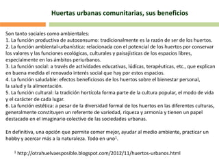 Huertas urbanas comunitarias, sus beneficios
Son tanto sociales como ambientales:
1. La función productiva de autoconsumo: tradicionalmente es la razón de ser de los huertos.
2. La función ambiental-urbanística: relacionada con el potencial de los huertos por conservar
los valores y las funciones ecológicas, culturales y paisajísticas de los espacios libres,
especialmente en los ámbitos periurbanos.
3. La función social: a través de actividades educativas, lúdicas, terapéuticas, etc., que explican
en buena medida el renovado interés social que hay por estos espacios.
4. La función saludable: efectos beneficiosos de los huertos sobre el bienestar personal,
la salud y la alimentación.
5. La función cultural: la tradición hortícola forma parte de la cultura popular, el modo de vida
y el carácter de cada lugar.
6. La función estética: a pesar de la diversidad formal de los huertos en las diferentes culturas,
generalmente constituyen un referente de variedad, riqueza y armonía y tienen un papel
destacado en el imaginario colectivo de las sociedades urbanas.
En definitiva, una opción que permite comer mejor, ayudar al medio ambiente, practicar un
hobby y acercar más a la naturaleza. Todo en uno1.
1 http://otrahuelvaesposible.blogspot.com/2012/11/huertos-urbanos.html
 