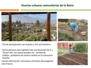 Huertas urbanas comunitarias de la Reina
2/3 de participantes son mujeres y 1/3 son hombres
De las personas que ingresan hay una deserción de 5 a
7% por año. Las causas pueden ser : cambio de
trabajo, problemas de salud o cambio en la estructura
familiar.
Fuente información: entrevista a directora del programa
Julia Franco.
 