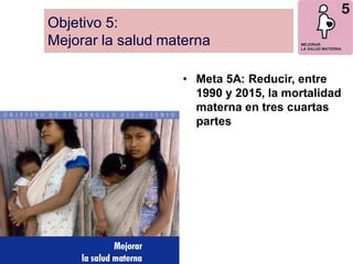 Objetivo 5: Mejorar la salud materna 
•Meta 5A: Reducir, entre 1990 y 2015, la mortalidad materna en tres cuartas partes 
 