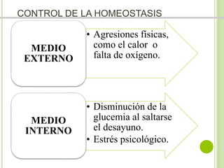 CONTROL DE LA HOMEOSTASIS 
• Agresiones físicas, 
como el calor o 
falta de oxígeno. 
MEDIO 
EXTERNO 
• Disminución de la 
glucemia al saltarse 
el desayuno. 
• Estrés psicológico. 
MEDIO 
INTERNO 
 