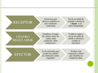 RECEPTOR 
Estructura que 
observa cambios en 
una condición 
controlada 
Envía un señal de 
entrada o aferencia 
( input) a un 
centro Regulador. 
CENTRO 
REGULADOR 
Establece el rango 
de valores entre los 
cuales cada 
condición debe 
mantenerse. 
Evalúa lo input y 
envía un señal de 
salida o eferencia 
cuando es 
necesario. 
EFECTOR 
Es la estructura que 
recibe las señales 
de salida del centro 
regulador 
Produce una 
respuesta o efecto 
que modifica la 
condición dada. 
 