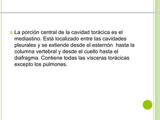  La porción central de la cavidad torácica es el 
mediastino. Está localizado entre las cavidades 
pleurales y se extiende desde el esternón hasta la 
columna vertebral y desde el cuello hasta el 
diafragma. Contiene todas las vísceras torácicas 
excepto los pulmones. 
 