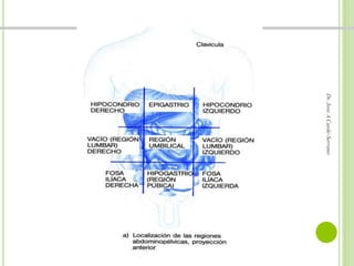 Dr. Jose A Carde-Serrano 
 