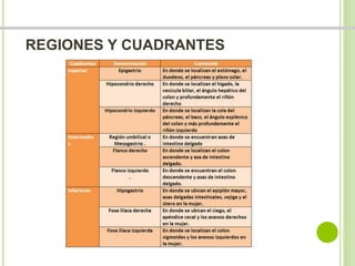 REGIONES Y CUADRANTES 
 