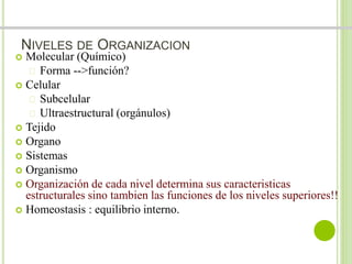 NIVELES DE ORGANIZACION 
 Molecular (Químico) 
 Forma -->función? 
 Celular 
 Subcelular 
 Ultraestructural (orgánulos) 
 Tejido 
 Organo 
 Sistemas 
 Organismo 
 Organización de cada nivel determina sus caracteristicas 
estructurales sino tambien las funciones de los niveles superiores!! 
 Homeostasis : equilibrio interno. 
 