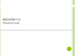 SECCIÓN 1-3 
HOMEOSTASIS 
 